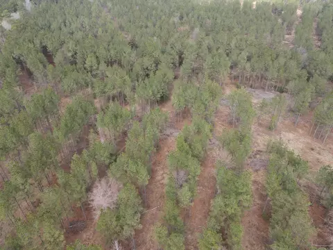 000 Lapile Rd, Strong, AR 71765 photo 4