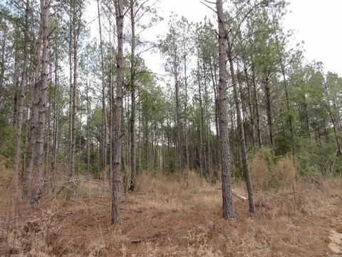000 Lapile Rd, Strong, AR 71765 photo 31