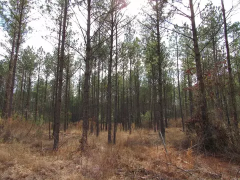000 Lapile Rd, Strong, AR 71765 photo 27