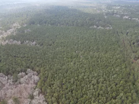 000 Lapile Rd, Strong, AR 71765 photo 20
