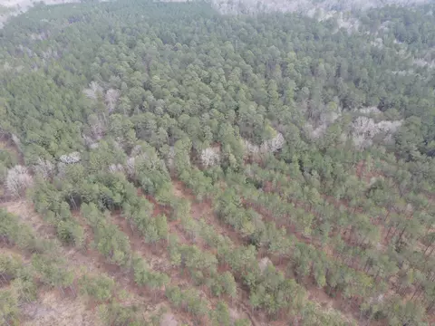 000 Lapile Rd, Strong, AR 71765 photo 10