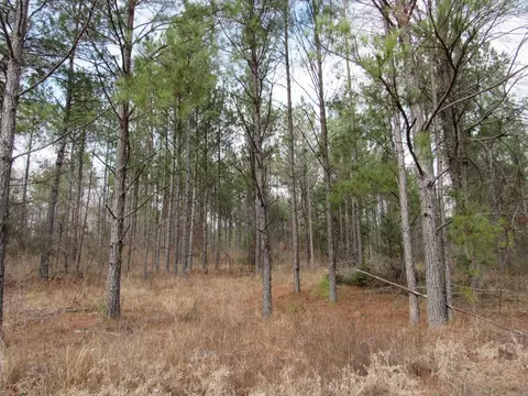 000 Lapile Rd, Strong, AR 71765 photo 21