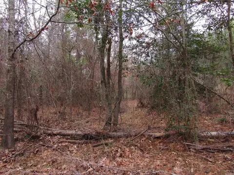 000 Lapile Rd, Strong, AR 71765 photo 34