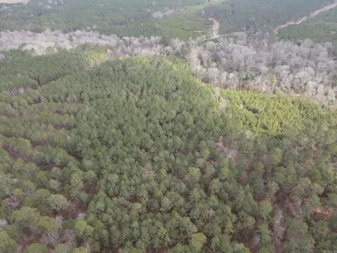 000 Lapile Rd, Strong, AR 71765 photo 14
