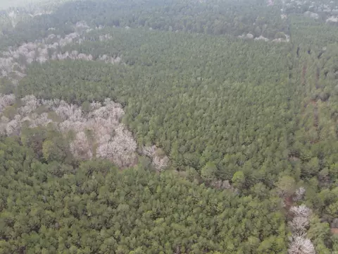 000 Lapile Rd, Strong, AR 71765 photo 18