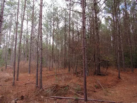 000 Lapile Rd, Strong, AR 71765 photo 37