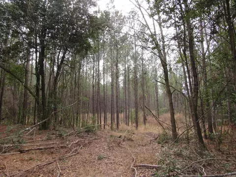 000 Lapile Rd, Strong, AR 71765 photo 33