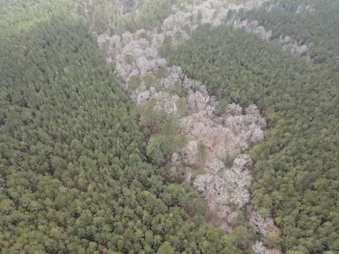 000 Lapile Rd, Strong, AR 71765 photo 19