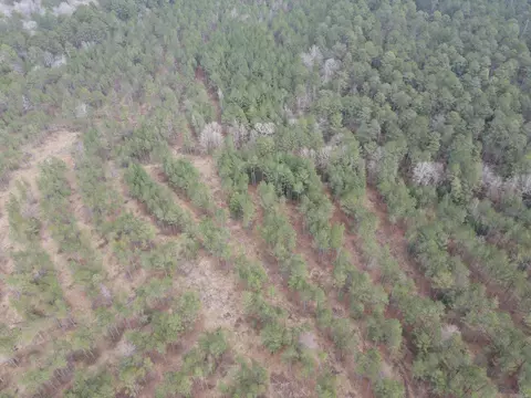 000 Lapile Rd, Strong, AR 71765 photo 9