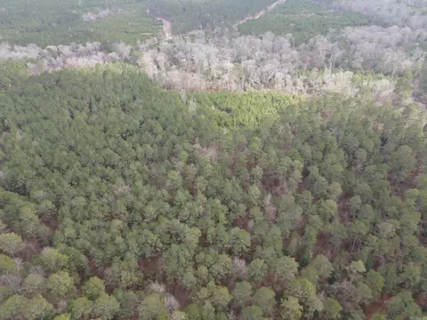 000 Lapile Rd, Strong, AR 71765 photo 13