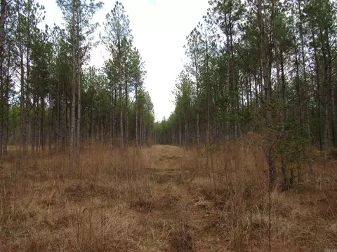 000 Lapile Rd, Strong, AR 71765 photo 28