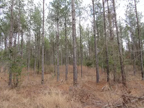 000 Lapile Rd, Strong, AR 71765 photo 29