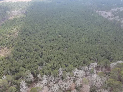 000 Lapile Rd, Strong, AR 71765 photo 15