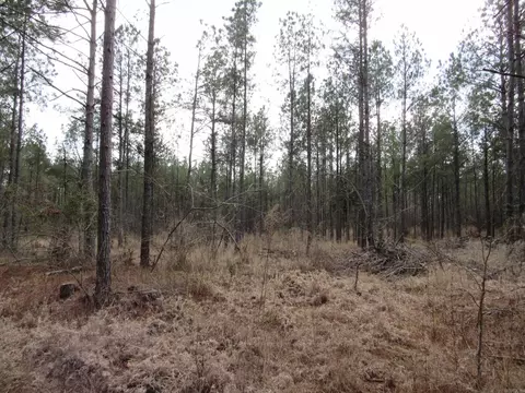 000 Lapile Rd, Strong, AR 71765 photo 25