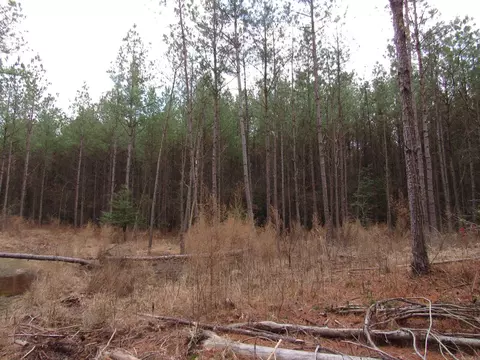 000 Lapile Rd, Strong, AR 71765 photo 35