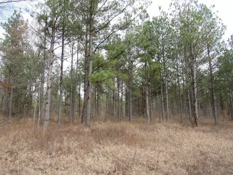 000 Lapile Rd, Strong, AR 71765 photo 23