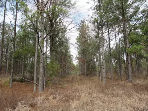 000 Lapile Rd, Strong, AR 71765 photo 22