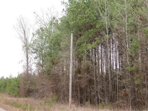 000 Lapile Rd, Strong, AR 71765 photo 39