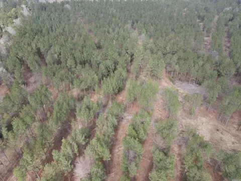 000 Lapile Rd, Strong, AR 71765 photo 5