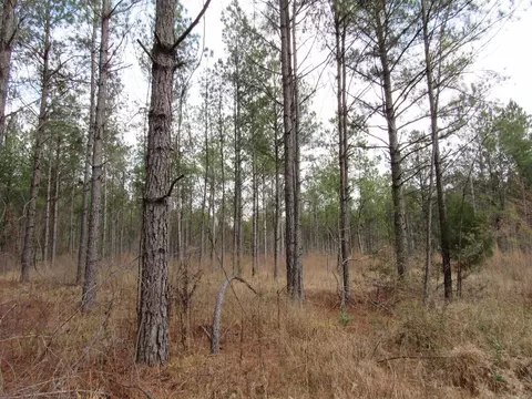 000 Lapile Rd, Strong, AR 71765 photo 26