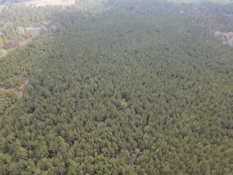 000 Lapile Rd, Strong, AR 71765 photo 16