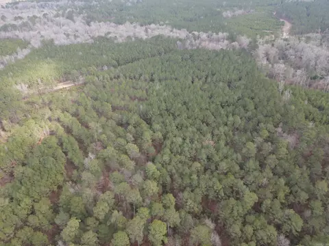 000 Lapile Rd, Strong, AR 71765 photo 12