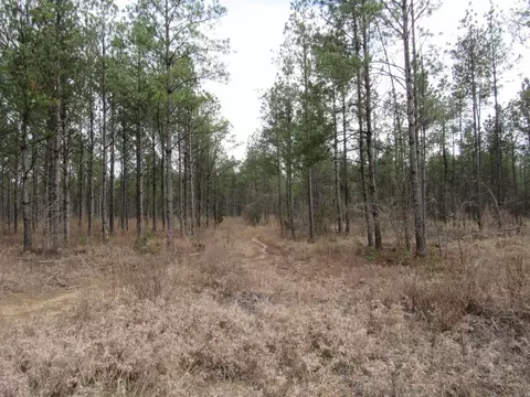 000 Lapile Rd, Strong, AR 71765 photo 24