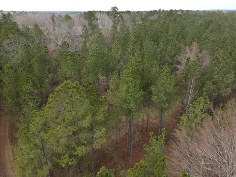 000 Lapile Rd, Strong, AR 71765 photo 2