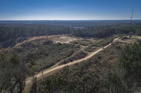 58 Dodgen Rd, Gurdon, AR 71743 photo 8