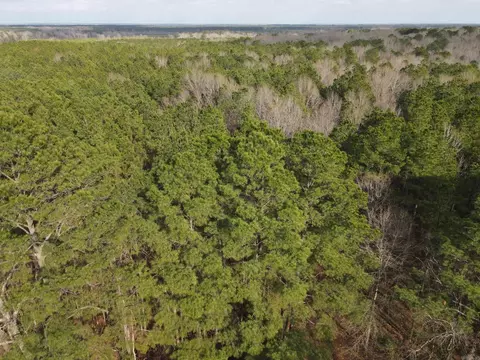 000 Otto Nash Rd, Huttig, AR 71747
