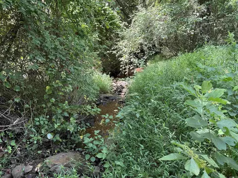 00 Mill Rd, Bald Knob, AR 72010 photo 7