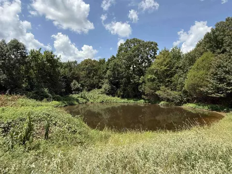 00 Mill Rd, Bald Knob, AR 72010 photo 23