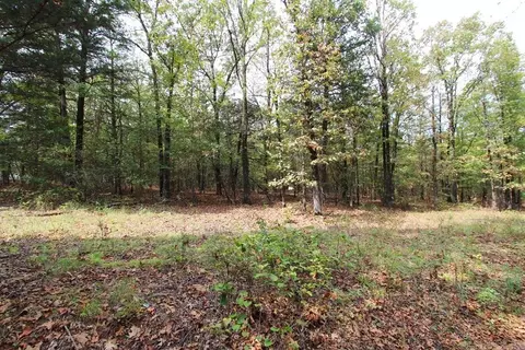 47 Daugherty Hill Rd, Conway, AR 72032 photo 4