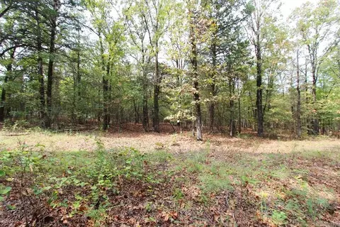 47 Daugherty Hill Rd, Conway, AR 72032 photo 5
