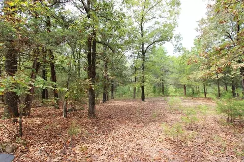 47 Daugherty Hill Rd, Conway, AR 72032 photo 36