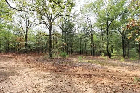 47 Daugherty Hill Rd, Conway, AR 72032 photo 19