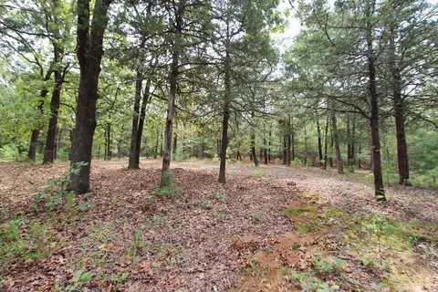 47 Daugherty Hill Rd, Conway, AR 72032 photo 35