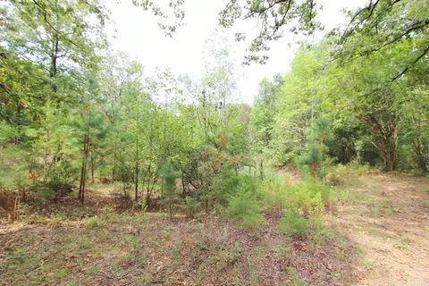 47 Daugherty Hill Rd, Conway, AR 72032 photo 33