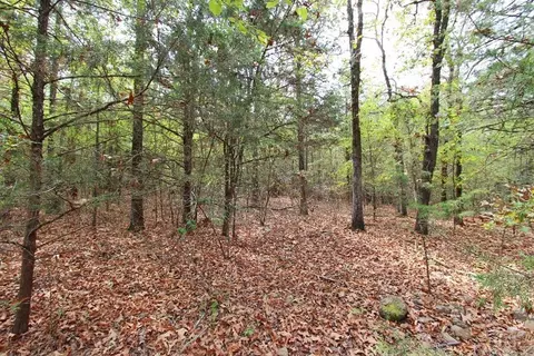 47 Daugherty Hill Rd, Conway, AR 72032 photo 37