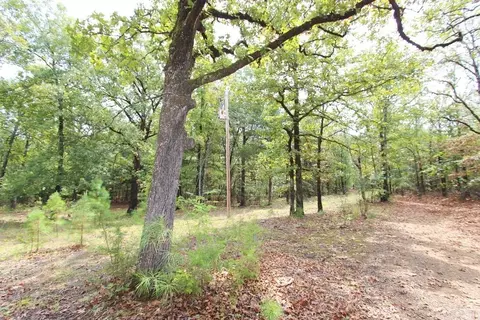 47 Daugherty Hill Rd, Conway, AR 72032 photo 17