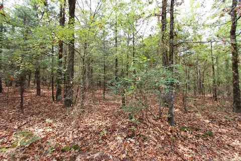 47 Daugherty Hill Rd, Conway, AR 72032 photo 9