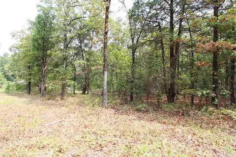 47 Daugherty Hill Rd, Conway, AR 72032 photo 12
