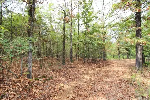 47 Daugherty Hill Rd, Conway, AR 72032 photo 10