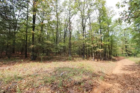 47 Daugherty Hill Rd, Conway, AR 72032 photo 6