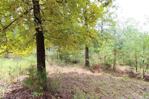47 Daugherty Hill Rd, Conway, AR 72032 photo 32