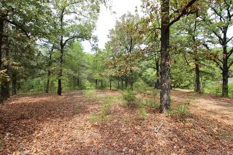 47 Daugherty Hill Rd, Conway, AR 72032 photo 40