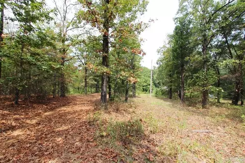 47 Daugherty Hill Rd, Conway, AR 72032 photo 11