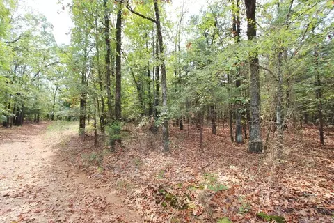 47 Daugherty Hill Rd, Conway, AR 72032 photo 8