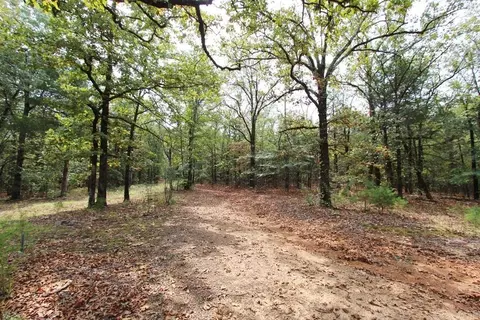 47 Daugherty Hill Rd, Conway, AR 72032 photo 18