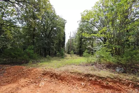 47 Daugherty Hill Rd, Conway, AR 72032 photo 24